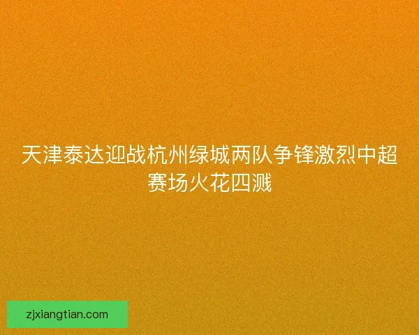 天津泰达迎战杭州绿城两队争锋激烈中超赛场火花四溅