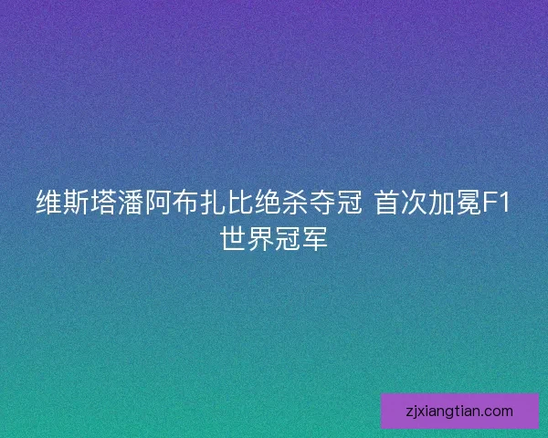维斯塔潘阿布扎比绝杀夺冠 首次加冕F1世界冠军 维斯塔潘阿布扎比绝杀夺冠 首次加冕F1世界冠军