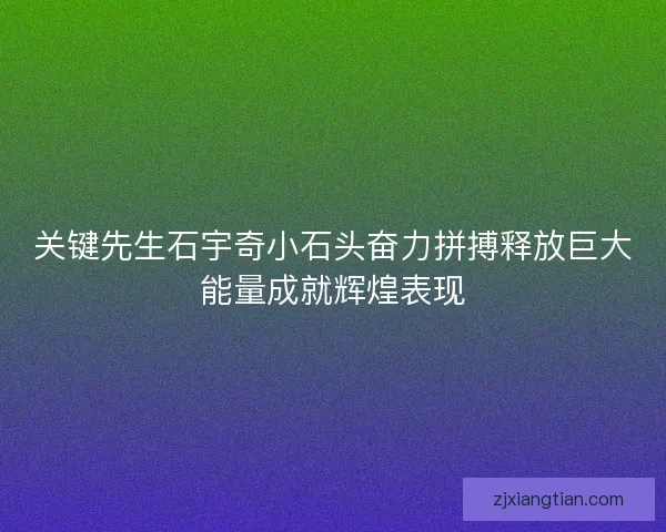 关键先生石宇奇小石头奋力拼搏释放巨大能量成就辉煌表现 关键先生石宇奇小石头奋力拼搏释放巨大能量成就辉煌表现