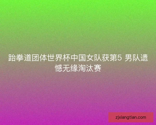 跆拳道团体世界杯中国女队获第5 男队遗憾无缘淘汰赛 跆拳道团体世界杯中国女队获第5 男队遗憾无缘淘汰赛